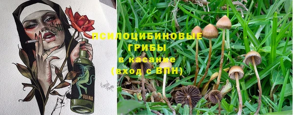каннабис Абаза