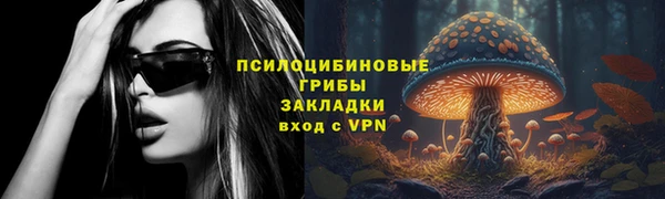 стафф Абинск