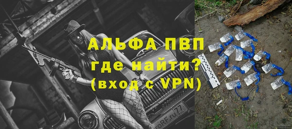 стафф Абинск
