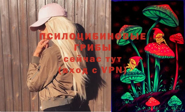 стафф Абинск